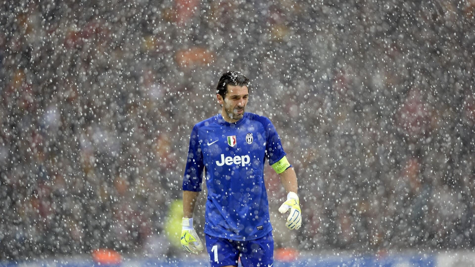 “荒漠之王：金色沙丘上的生死追逐”，沙漠金色是什么颜色